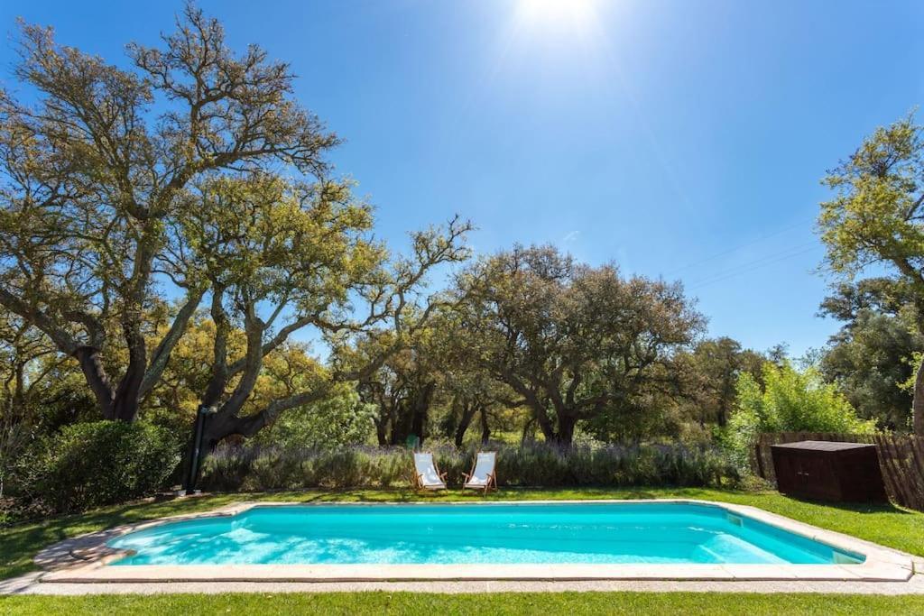 Vila Monte Dos Passarinhos Grândola Exteriér fotografie