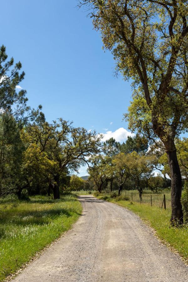 Vila Monte Dos Passarinhos Grândola Exteriér fotografie