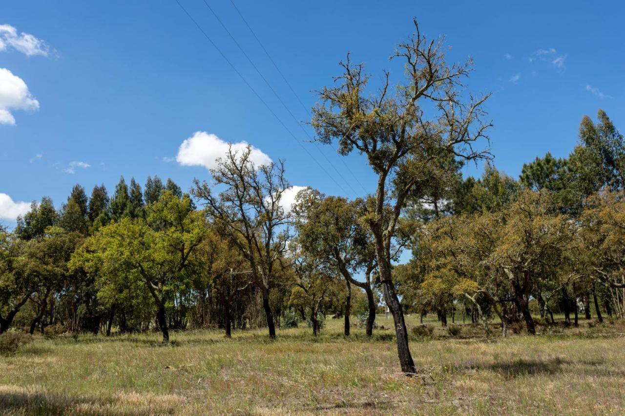 Vila Monte Dos Passarinhos Grândola Exteriér fotografie