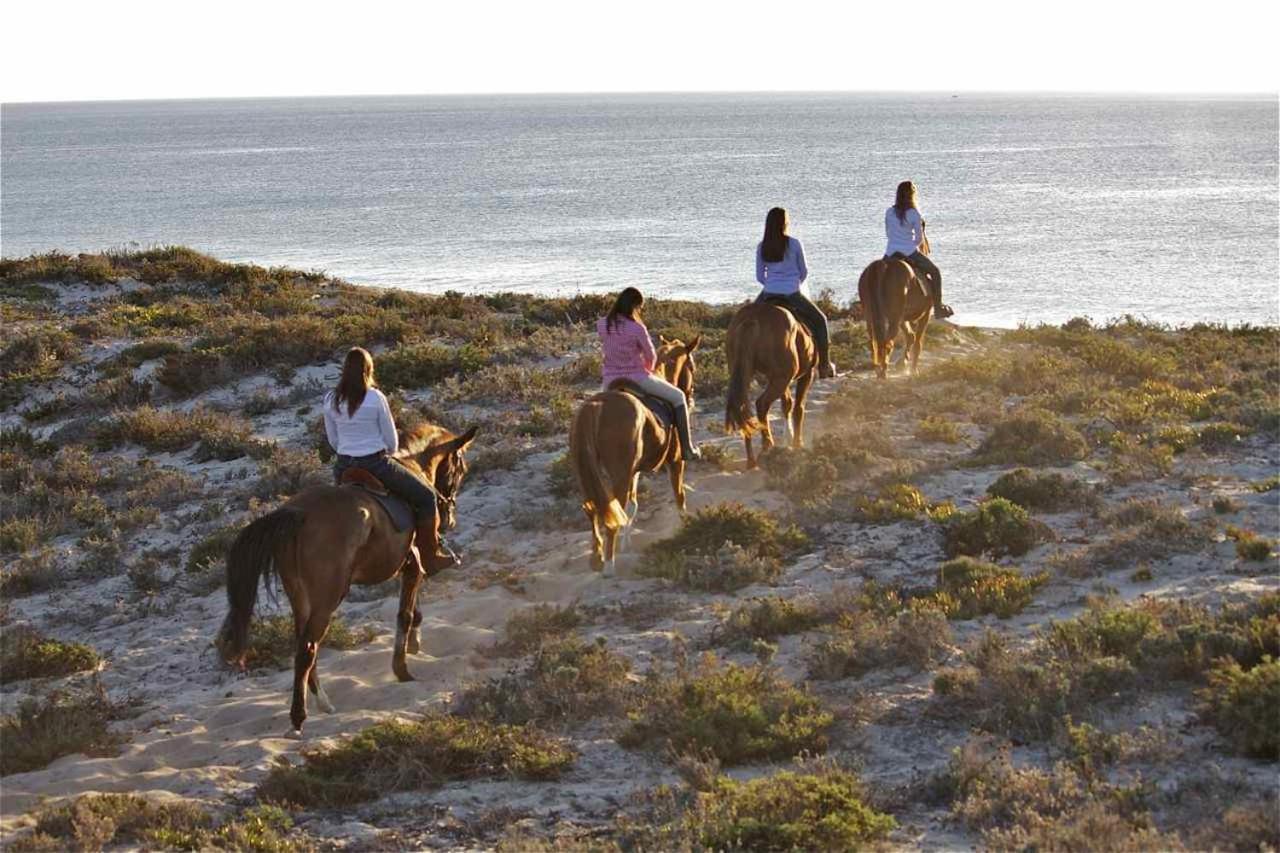 Vila Monte Dos Passarinhos Grândola Exteriér fotografie